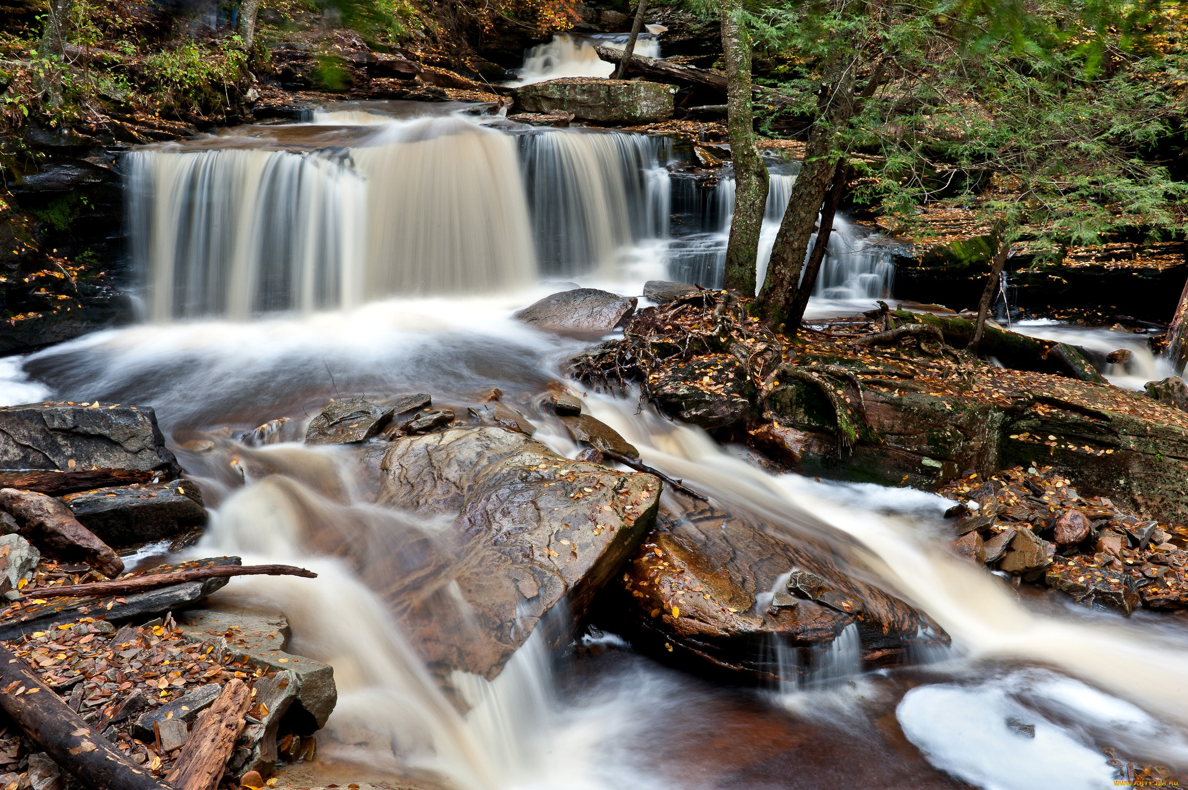, , ricketts, glen, state, park, pennsylvania